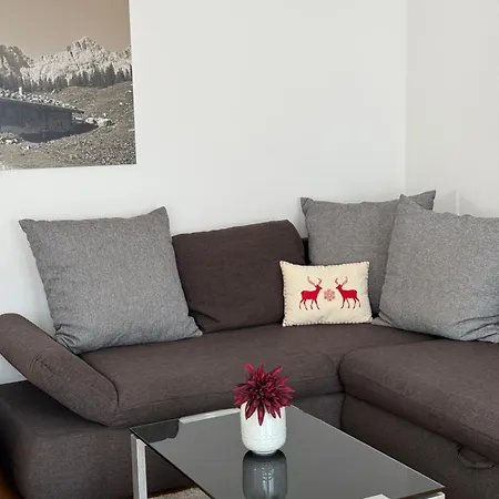 Berger * 滨湖采尔